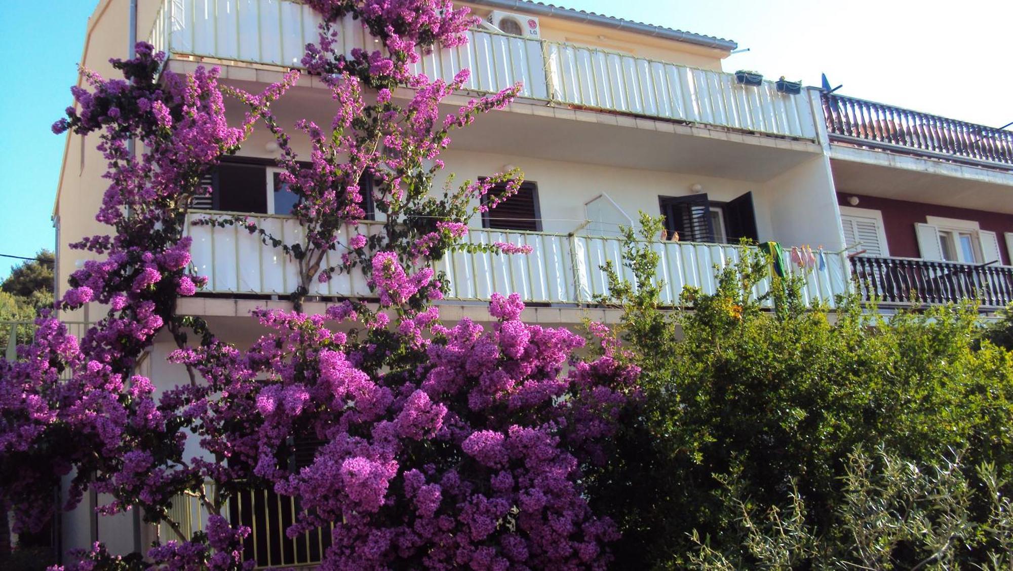 Apartments Green & Orange Đảo Hvar Ngoại thất bức ảnh