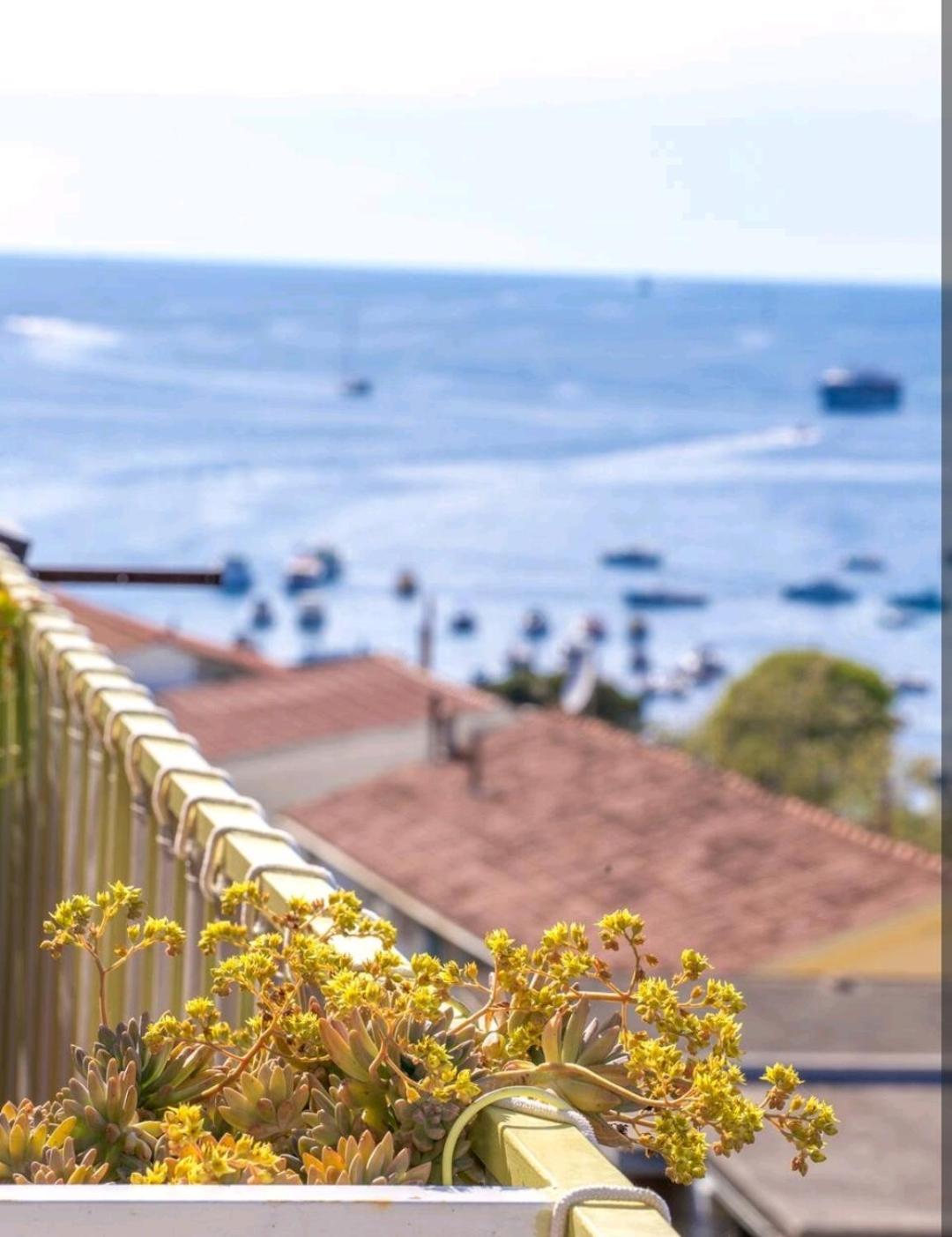 Apartments Green & Orange Đảo Hvar Ngoại thất bức ảnh