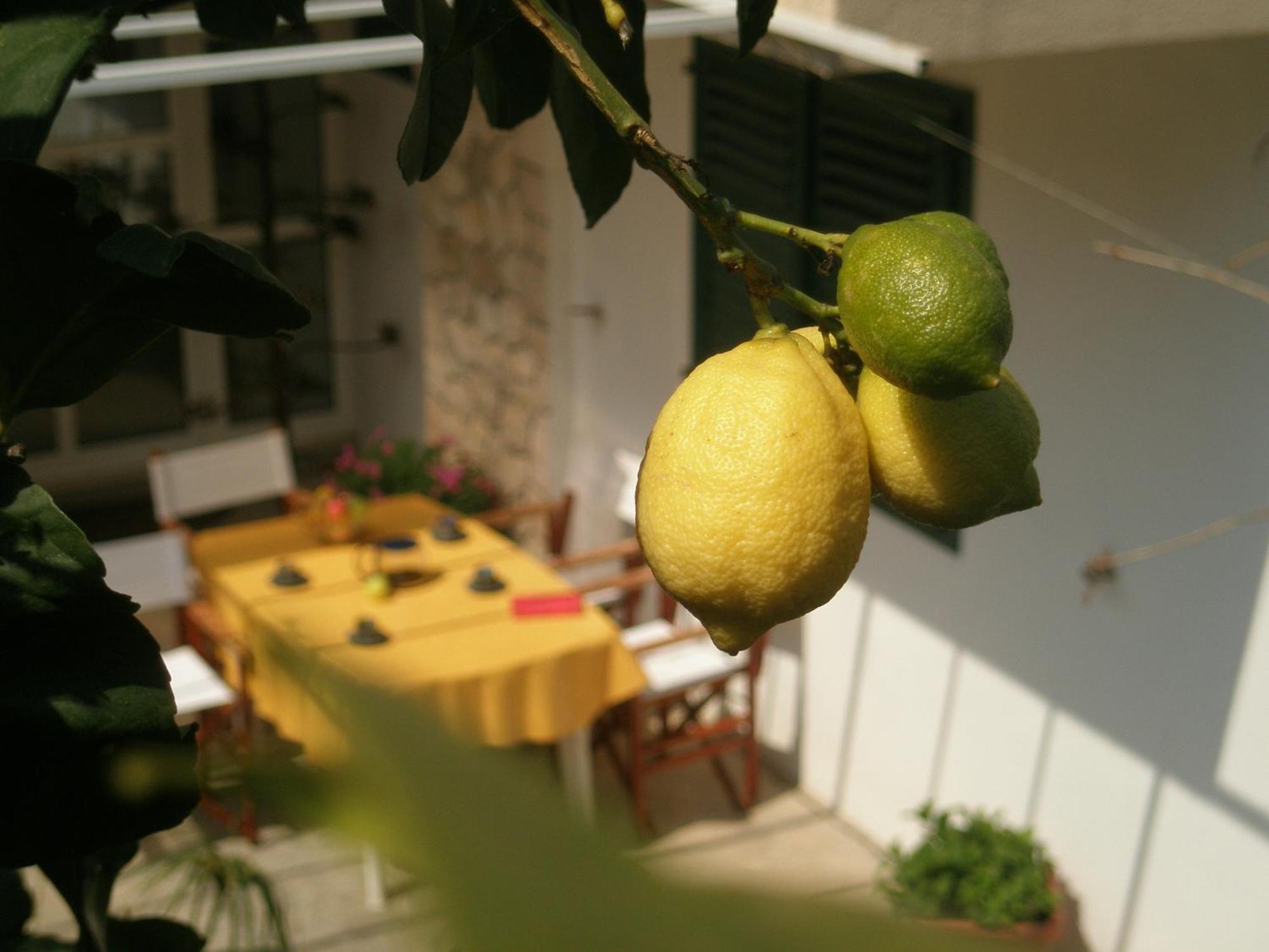 Apartments Green & Orange Đảo Hvar Ngoại thất bức ảnh