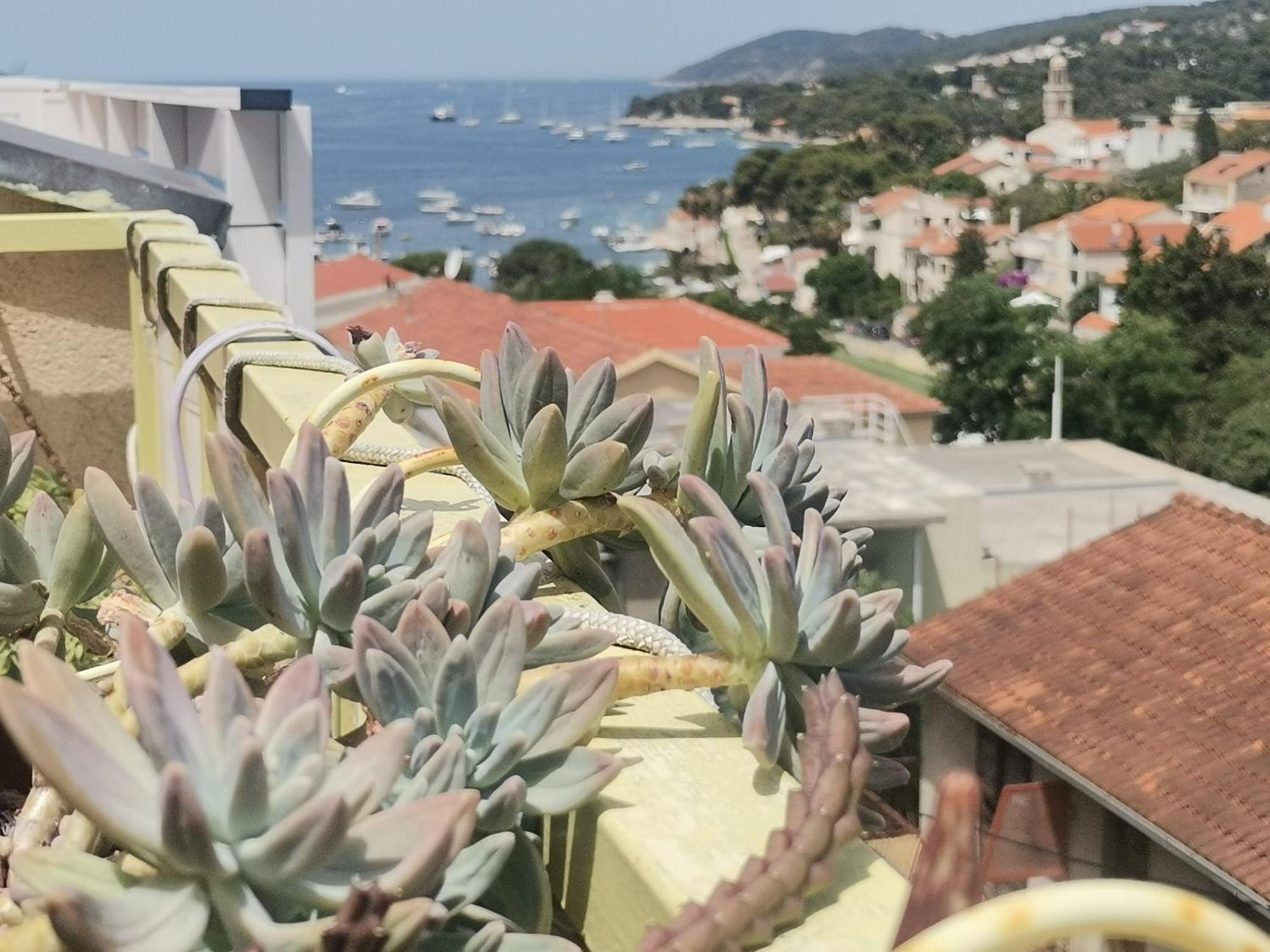 Apartments Green & Orange Đảo Hvar Ngoại thất bức ảnh